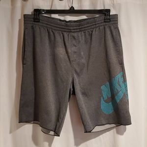 Nike SB Sunday Shorts Grey/Teal